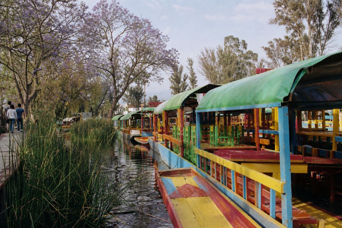 Two circular pavilions of the Museo de Arte Moderno among the trees of Chapultepec park