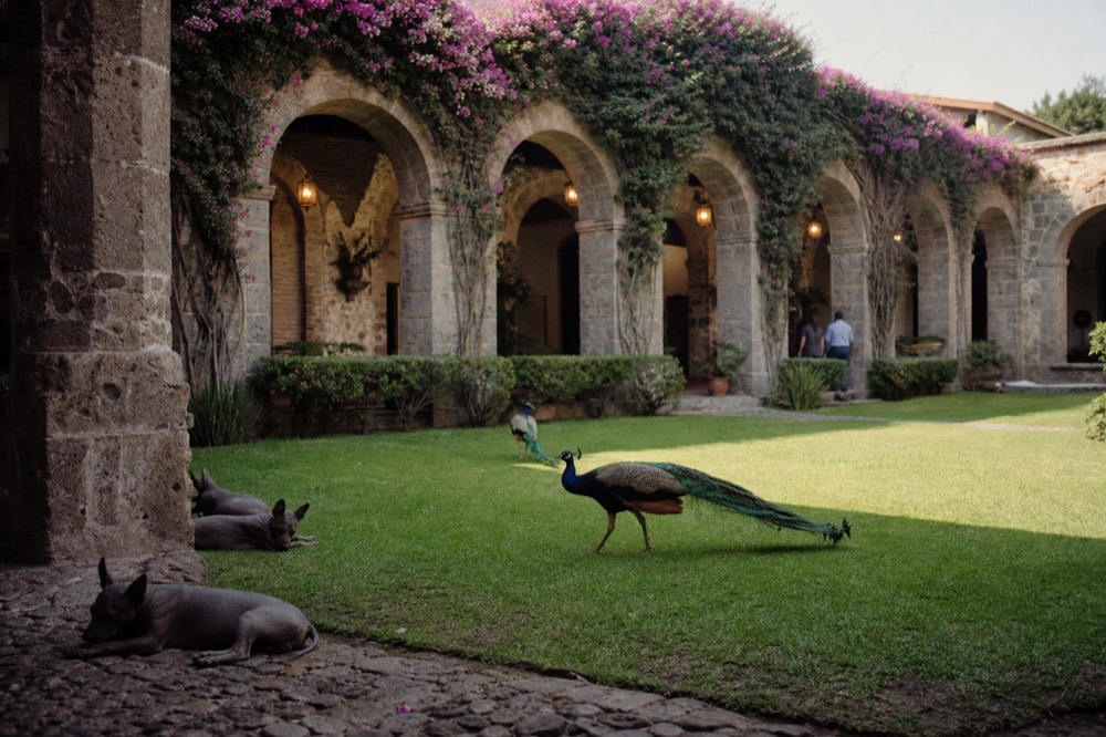 Museo Dolores Olmedo