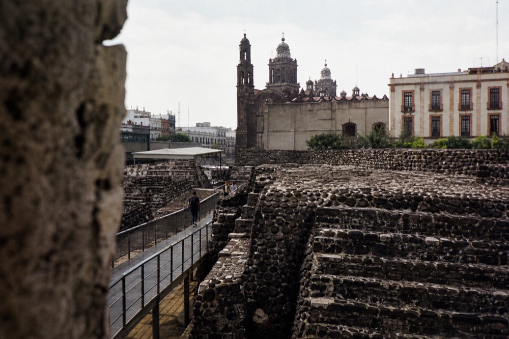 Tree-lined path through the Primera Seccion of Chapultepec park with the castle hill in the distance
